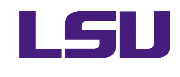 Louisiana State University Logo